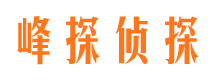 高要婚外情调查取证